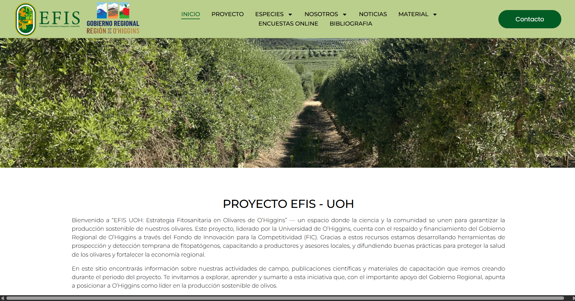 Efis UOH